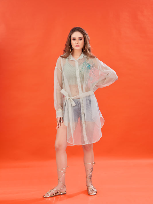 Pastel Green Organza Oversized Shirt Dress – Hand-Embellished with Sequins Play